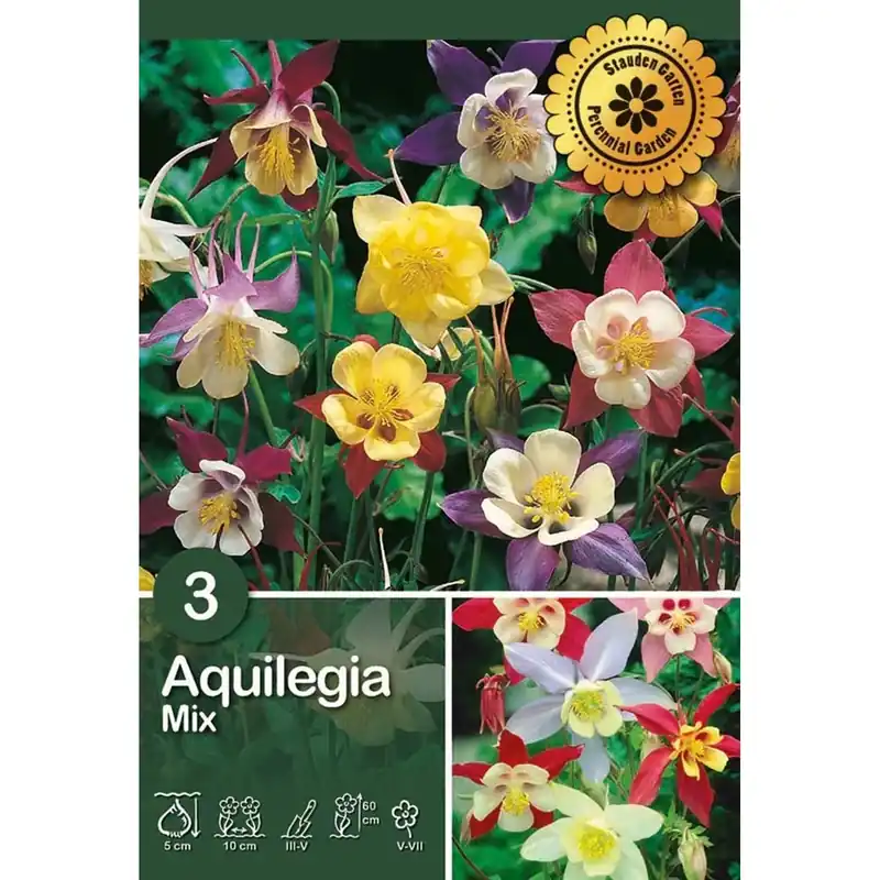 Aquilegia "Mix" Beperkte Voorraad
