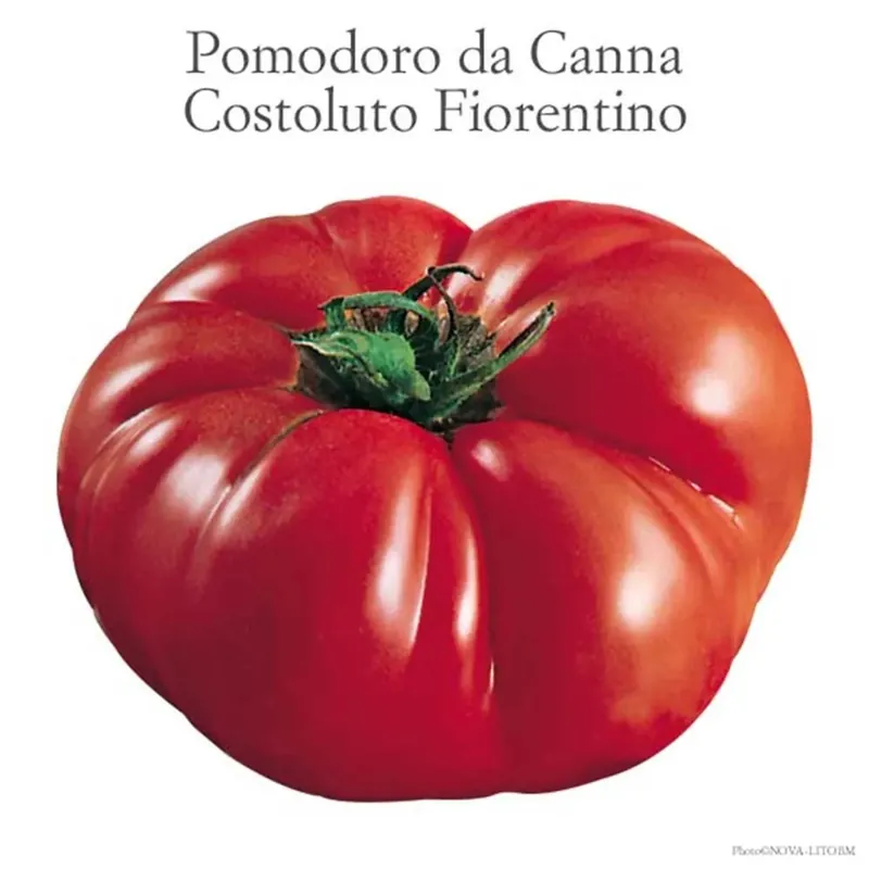 Weekendaanbieding Pomodoro insalataro Canestrino vaschetta 4 pz