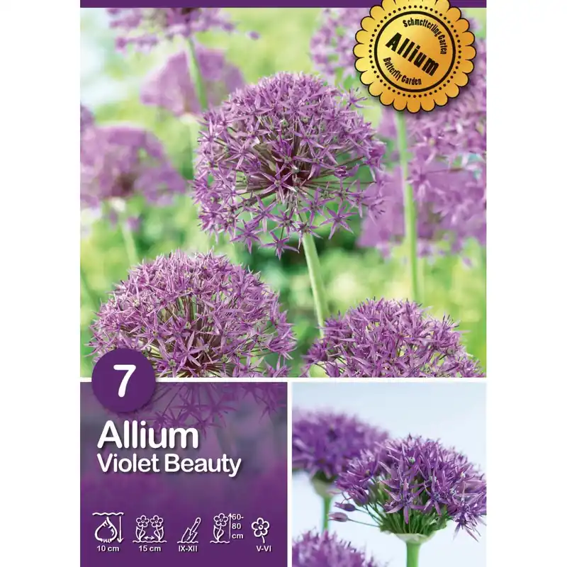 Weekendaanbieding Bulbi di Allium Violet Beauty porpora 7 pz