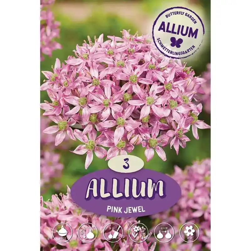 Allium Pink Jewel 3 bulbi Betrouwbaar