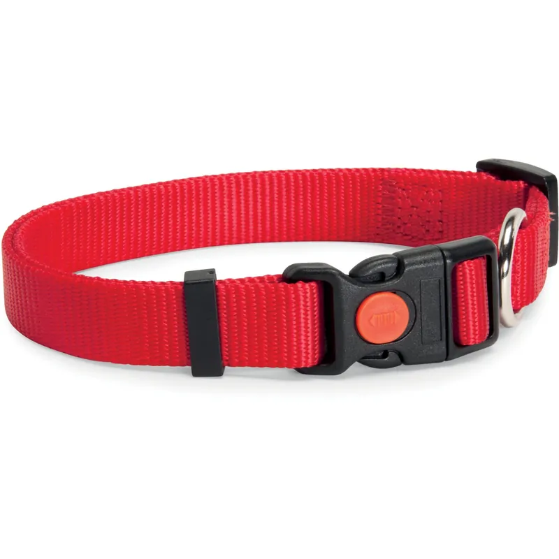 Alleen Vandaag Collare sganciabile da 15 mm rosso
