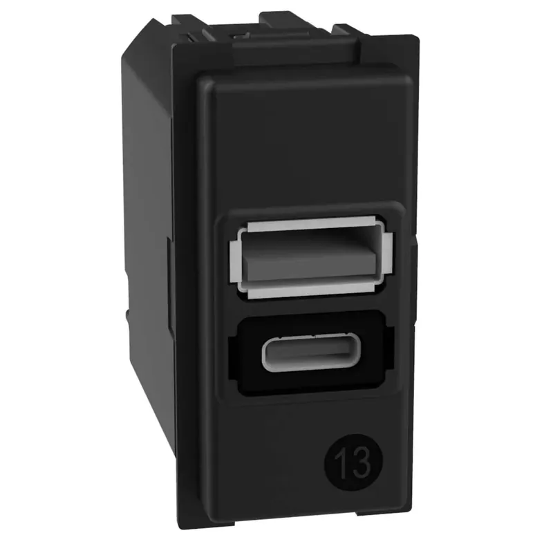 Alleen Vandaag Caricatore USB Bticino Living Now 2 Prese A+C 15W 1 Modulo
