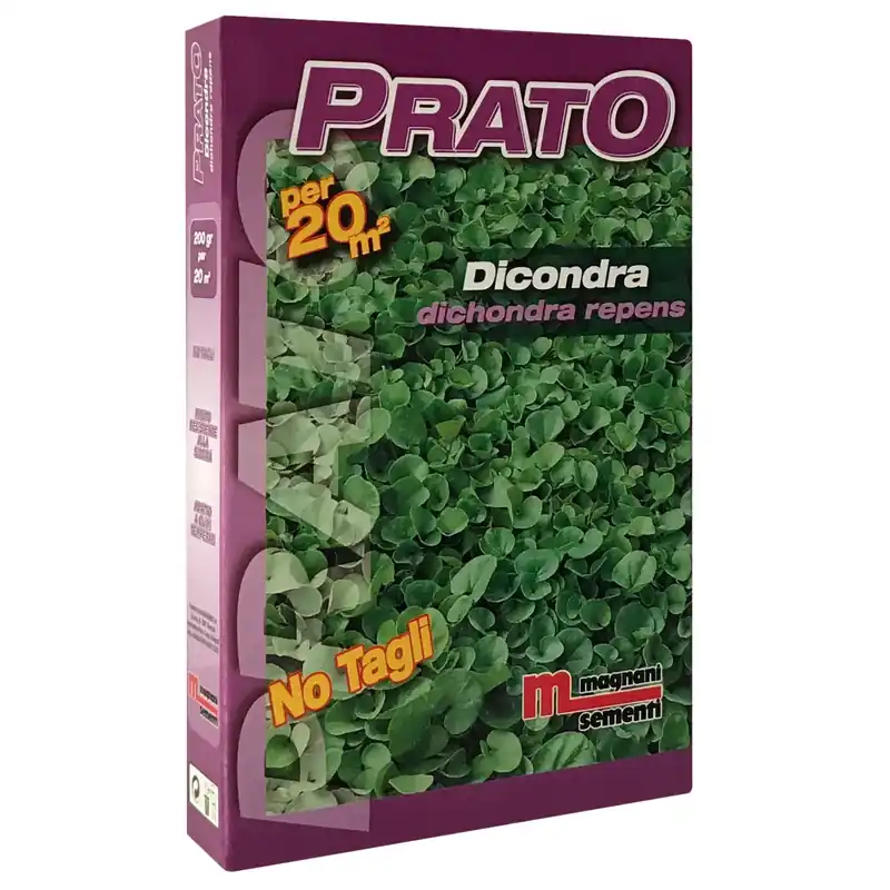 Semi prato Dicondra 200 g Veilige Betaling