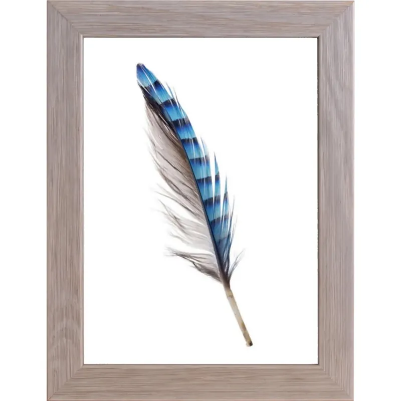 Hoge Kwaliteit Cornice da foto Newman da muro 25x35 cm tortora
