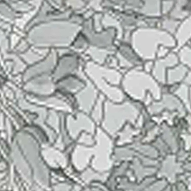 Fabrieksprijs Rotolo pellicola elettrostatica Fantasia Tulips 45 cm x 2 mt