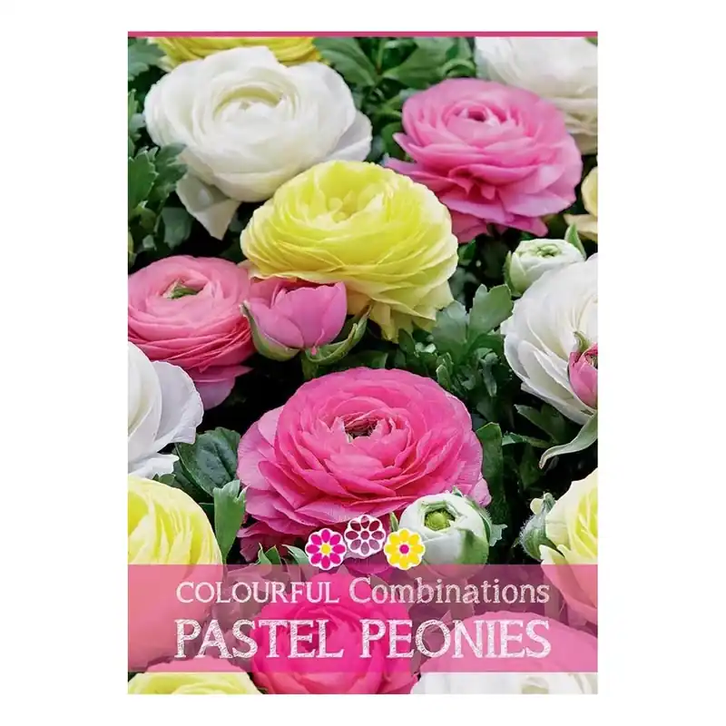 Betrouwbaar Ranunculus "Pastel Peonies"
