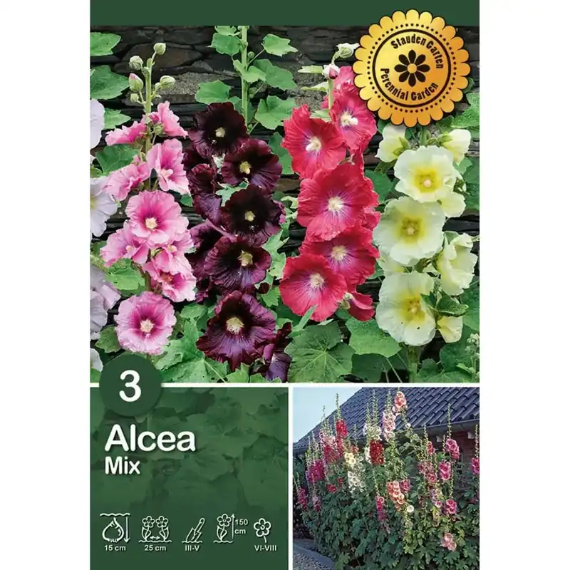 Alleen Vandaag Alcea "Mix"