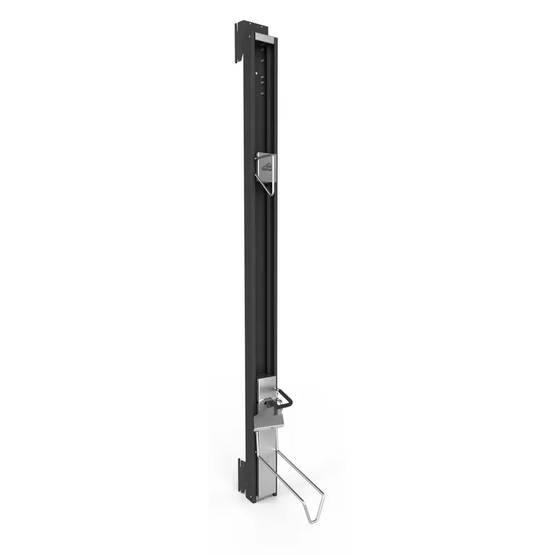 Voordeelprijs Bikelift per Casetta da giardino Biohort 17x43x185 cm Grigio scuro metallizzato