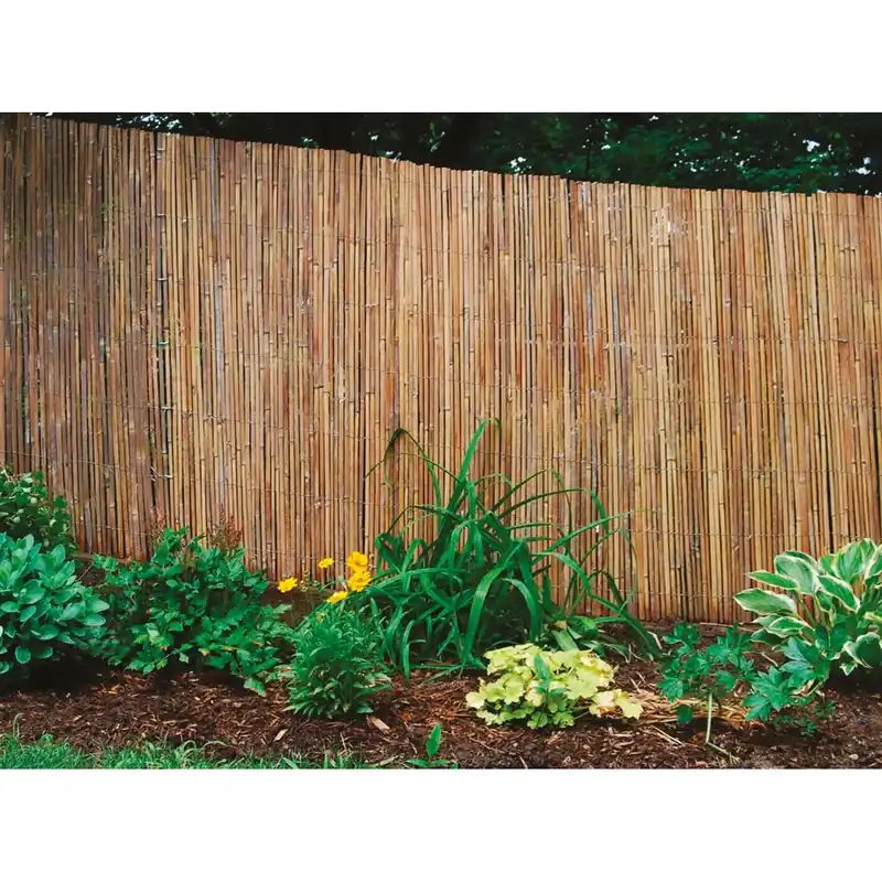 Arella naturale Beach in bambu H 2 x L 3 m Premium