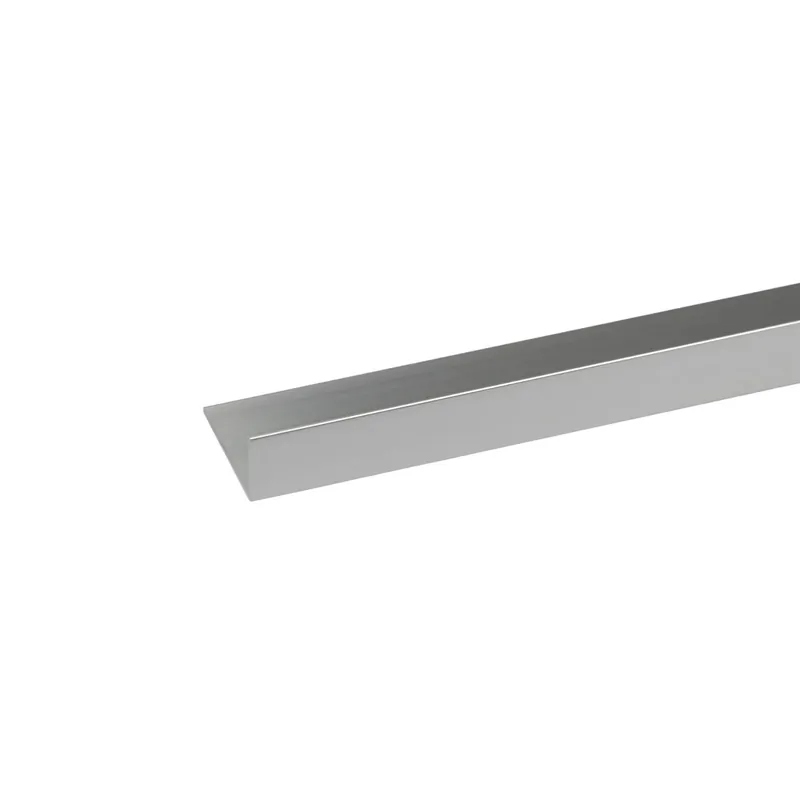 Weekendaanbieding Profilo angolare a L 1 m 20x10 mm argento brillante