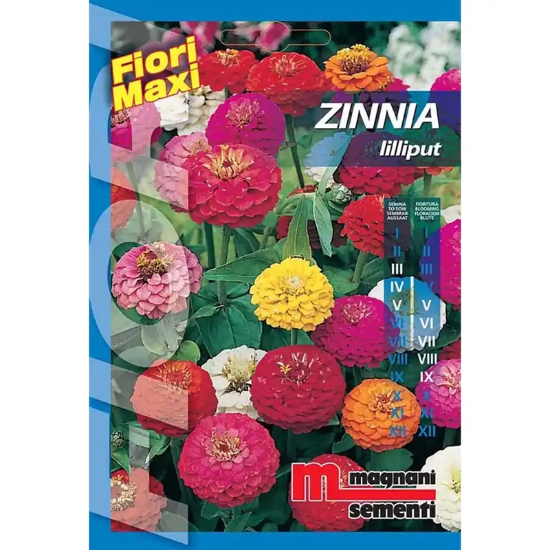 Aanbieding Semi fiori Zinnia lilliput