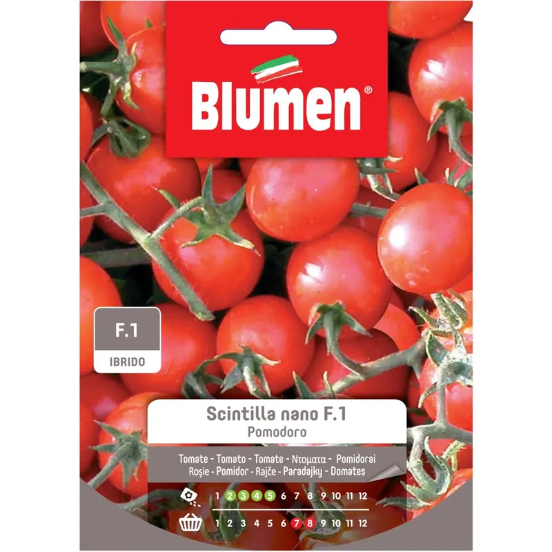 Weekendaanbieding Semi Blumen Pomodoro Scintilla nano f.1