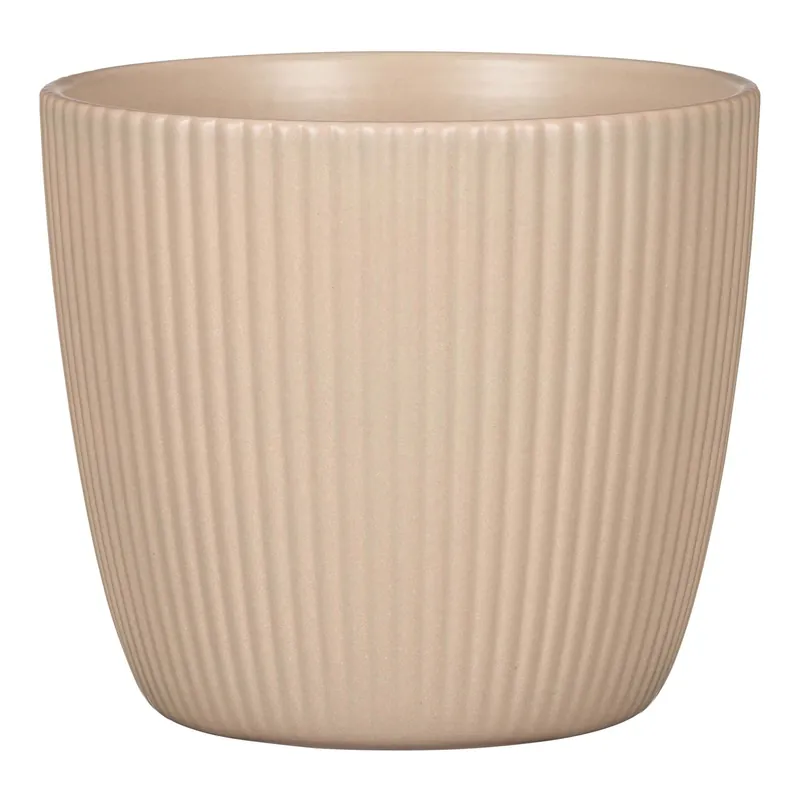 Aanbieding Coprivaso Scheurich 10,2x12,2 cm Dry Reed