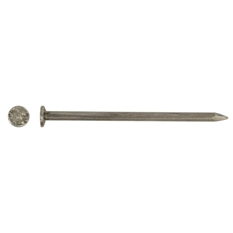Weekendaanbieding Chiodo testa piana ferro lucido 1,2x20 mm 200 pz