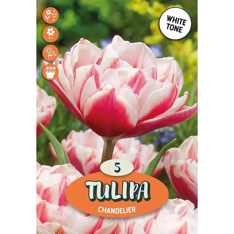 Actieprijs Bulbi tulipano Doppio Chandelier Bianco e Rosso