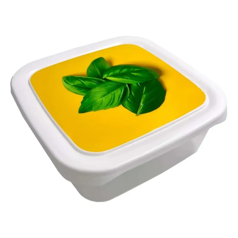 Contenitore salvafreschezza coperchio 950 ml e 1000 ml fantasie assortite Lage Prijs