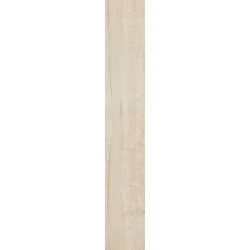 TREVERKHOME ACERO 20X120 RETTIFICATO Laatste Versie