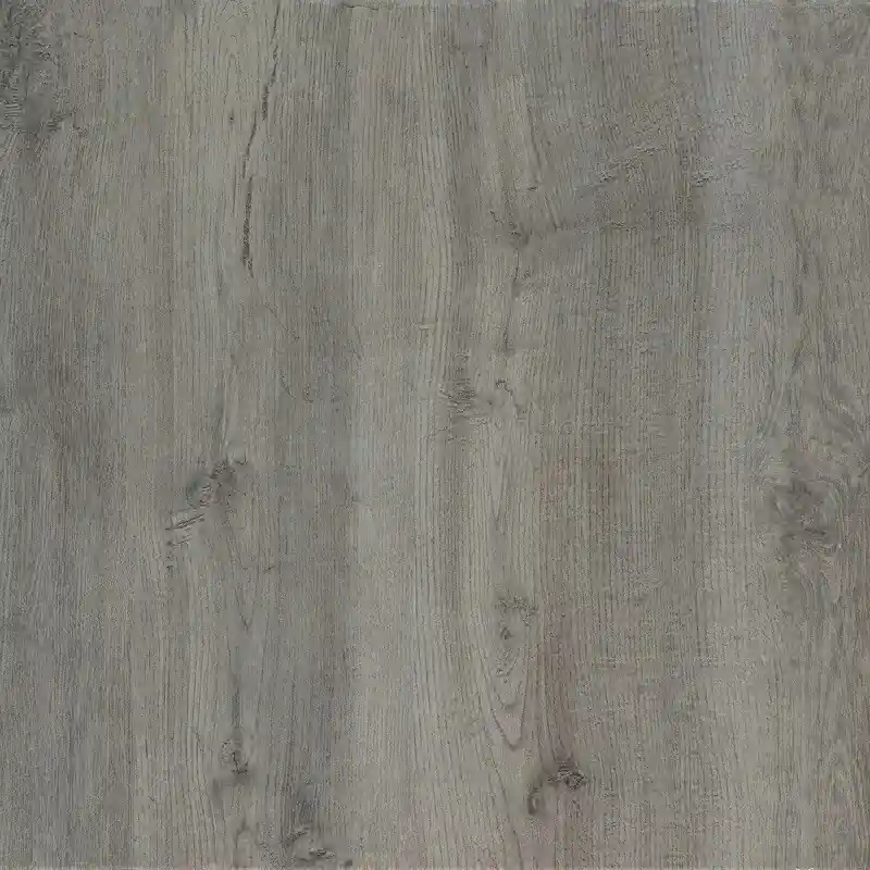 TREVERKHOME20 FRASSINO 60X60 RETTIFICATO -20mm Koop Online