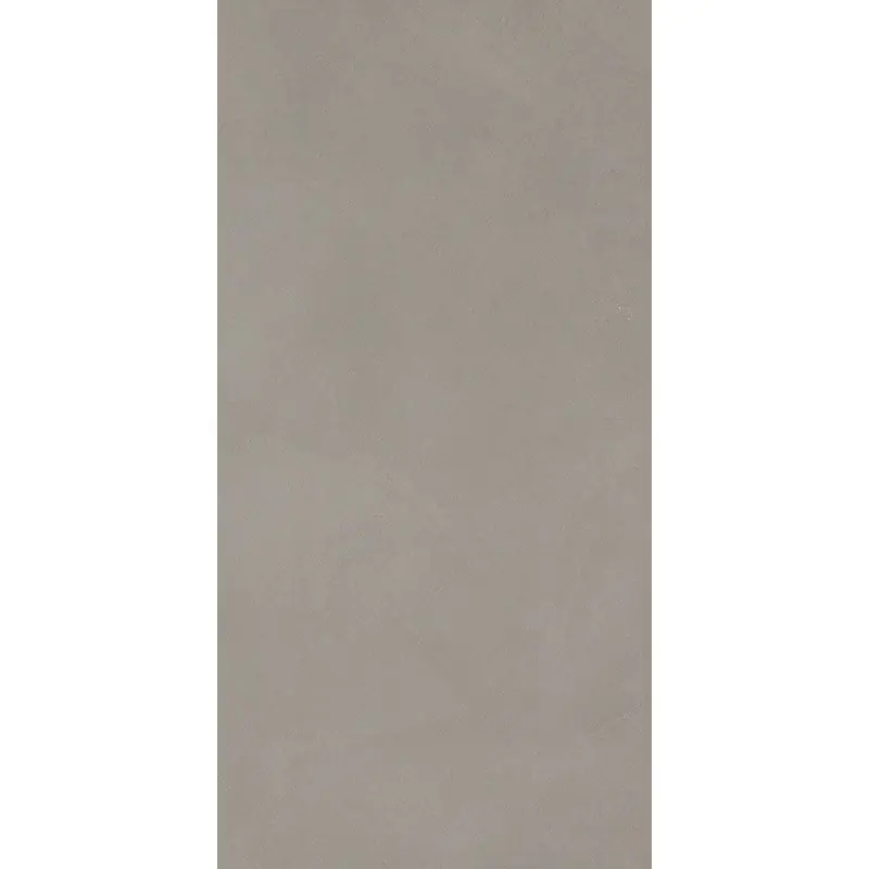 BLOCK SILVER 30X60 RETTIFICATO Direct Beschikbaar