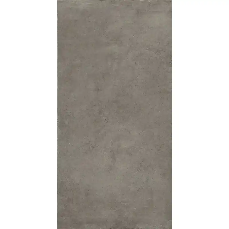 Populair BOSTON ASH NATURALE 60X120 RETT