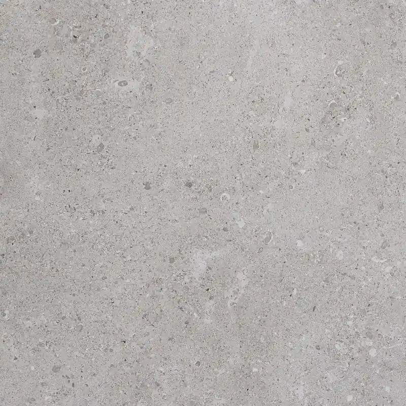 Voordeelprijs MYSTONE_GRIS FLEURY GRIGIO 60X60 RETTIFICATO