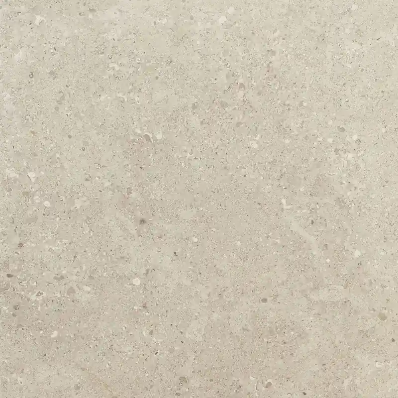 Alleen Vandaag MYSTONE_GRIS FLEURY BEIGE 60X60 RETTIFICATO