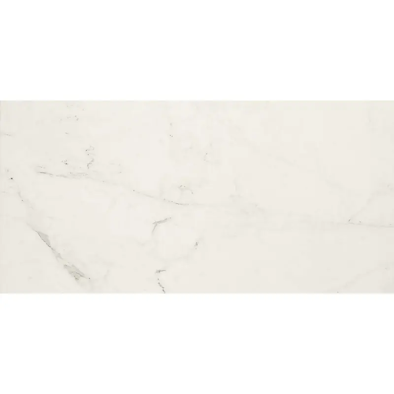 ALLMARBLE_FLOOR ALTISSIMO 60X120 SILK RETTIFICATO Direct Verzonden
