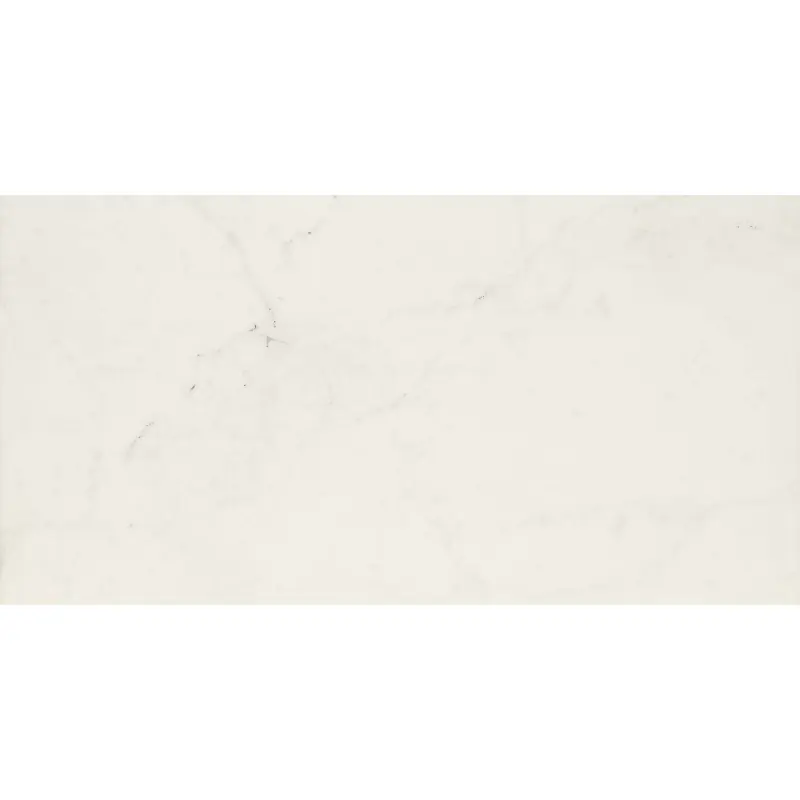 ALLMARBLE_FLOOR ALTISSIMO 60X120 LUX RETTIFICATO Koop Vandaag