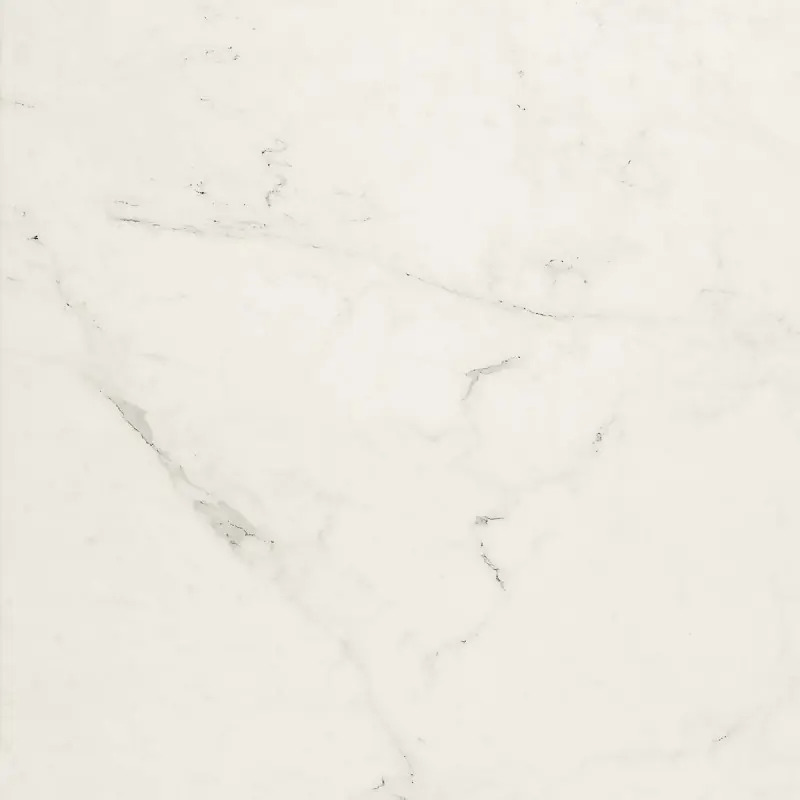 ALLMARBLE_FLOOR ALTISSIMO LUX 60X60 RETTIFICATO Favoriet