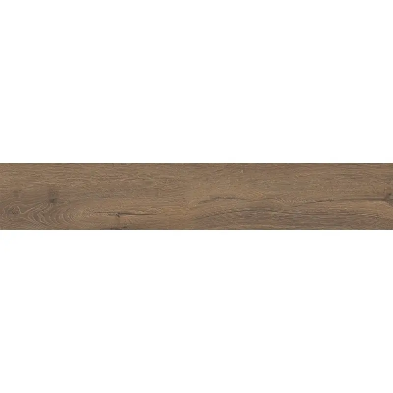 Betaalbaar ALNUS TERRA 20X120 RETT SP 9