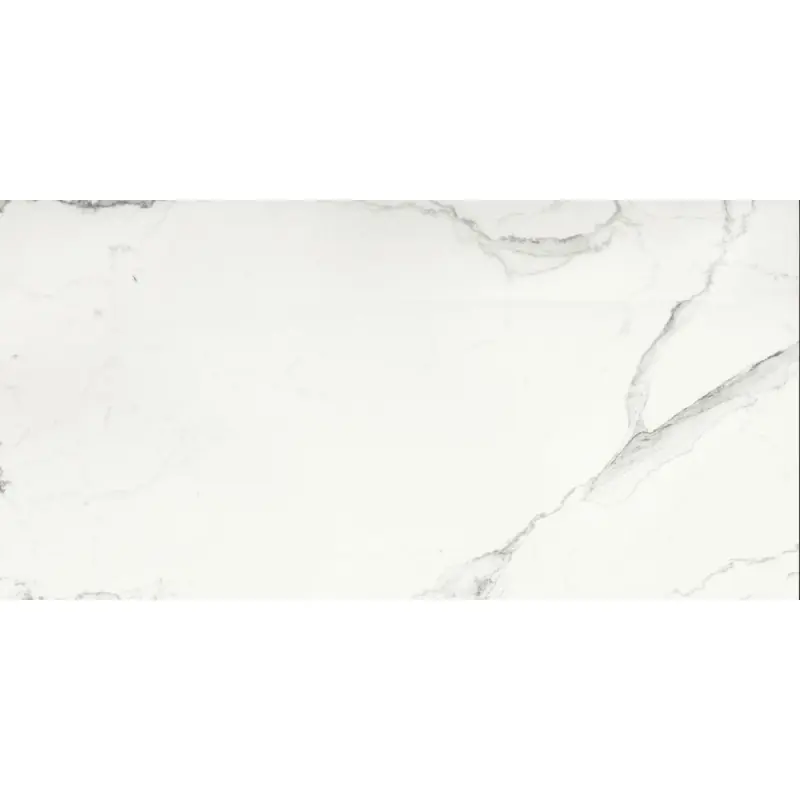 Lage Kosten MARBLE EXPERIENCE STATUARIO LUX LAPPATO 60X120 SP 9