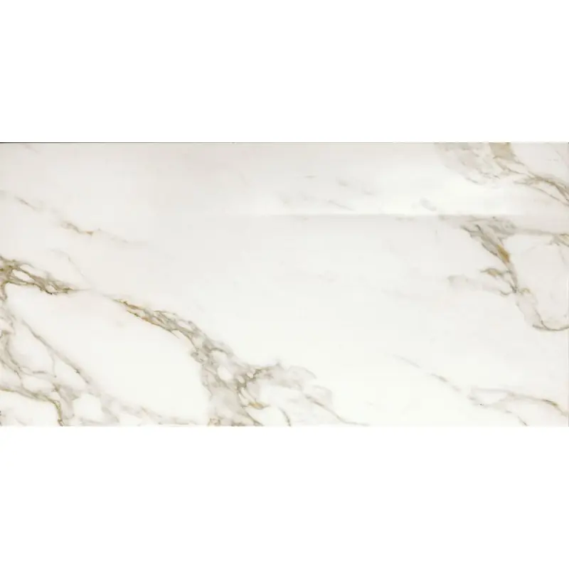 Hoge Kwaliteit MARBLE EXPERIENCE CALACATTA GOLD LAPPATO 60X120 SP 9