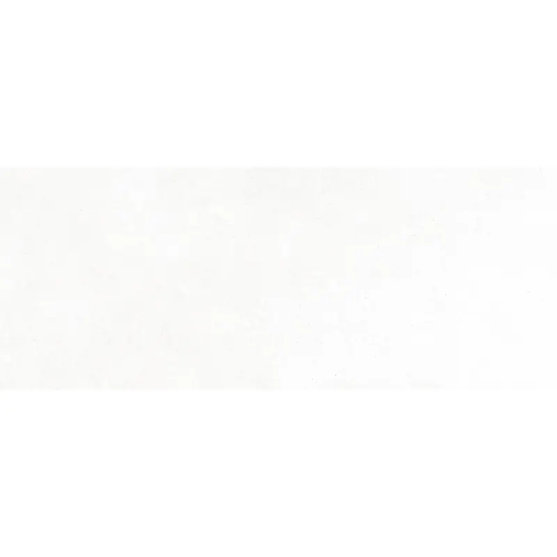 APPEAL_WALL WHITE 20x50 Beperkte Voorraad