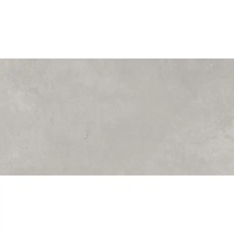 Alleen Vandaag PLASTER GREY 60X120 RETTIFICATO