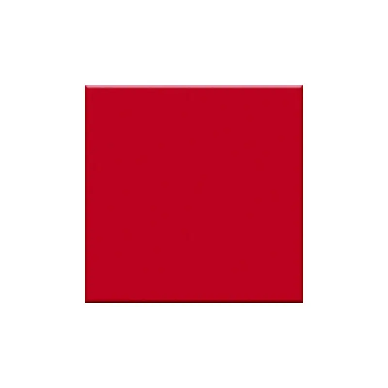 INTERNI 10X10 IN ROSSO (OPACO) Koop Vandaag