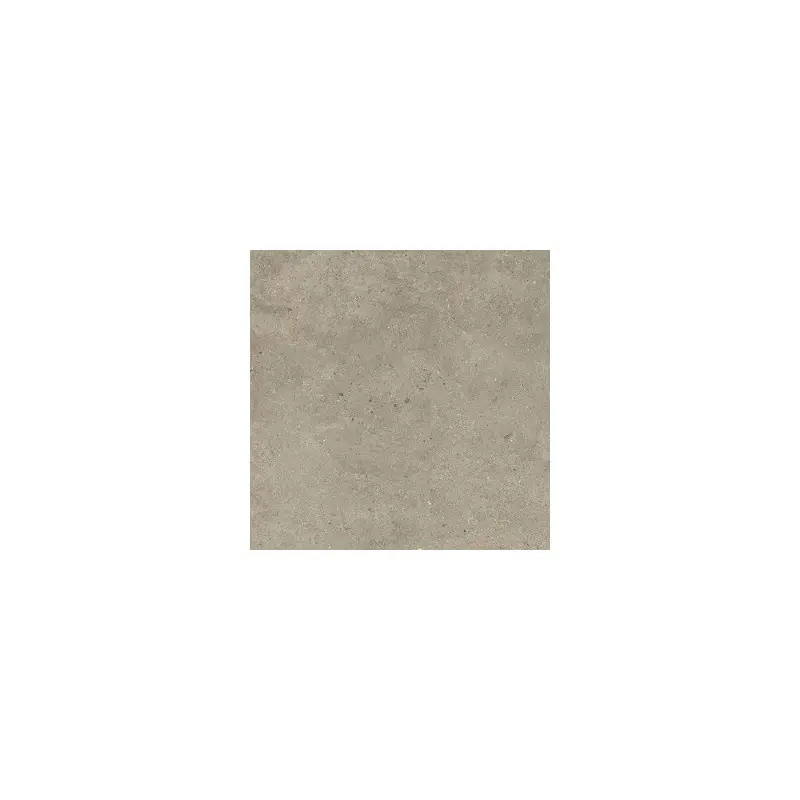 Rechtstreeks Van De Fabrikant SILVER GRAIN TAUPE NAT 60X60