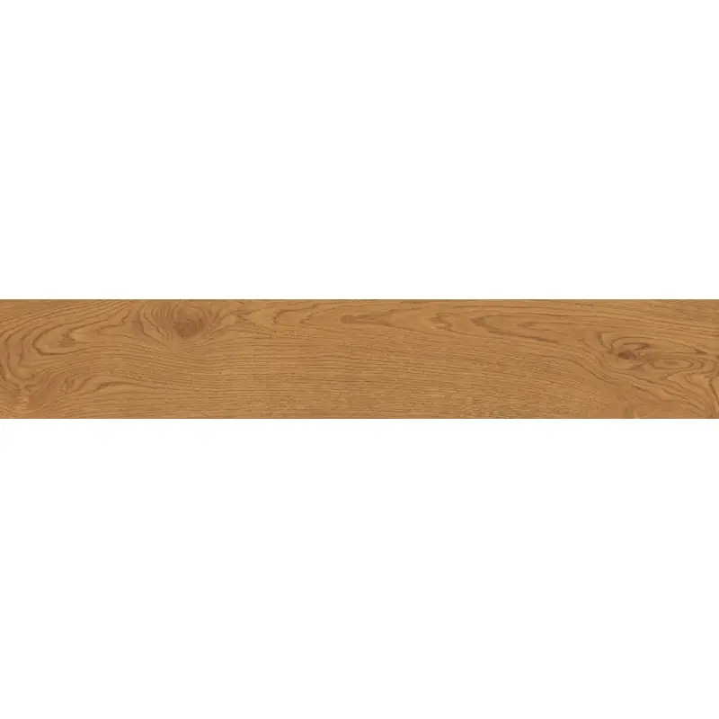 Koopje EXENCE AMBER 20X120 RETT