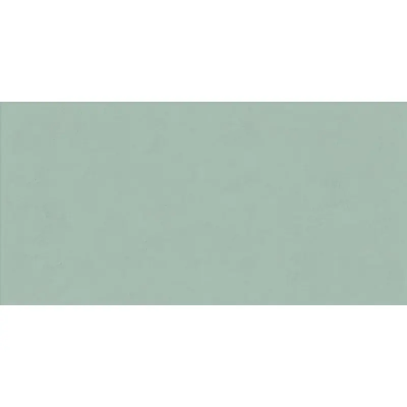 Bestel Nu WIDE & STYLE MINI MINT 60X120 RETTIFICATO