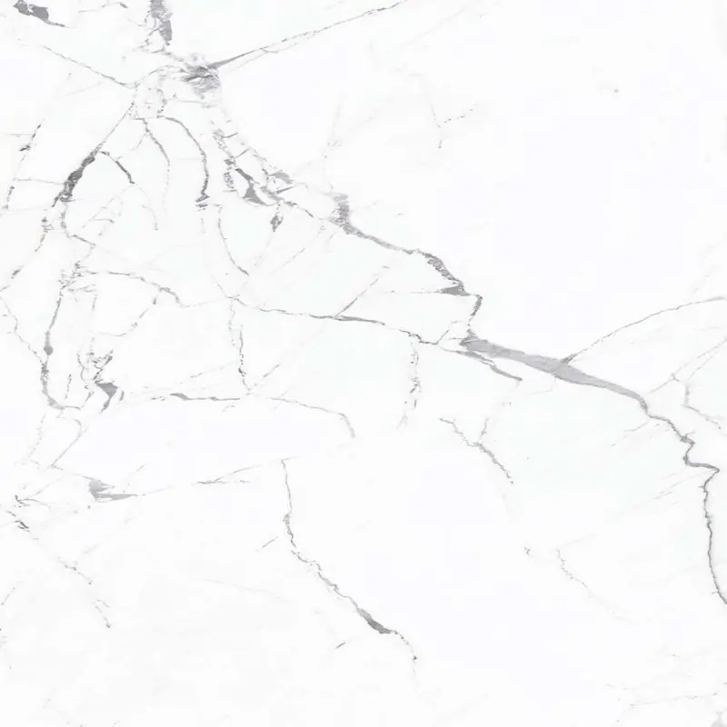 ANIMA STATUARIO VENATO LUCIDATO 120X120 RETTIFICATO Gratis Retour