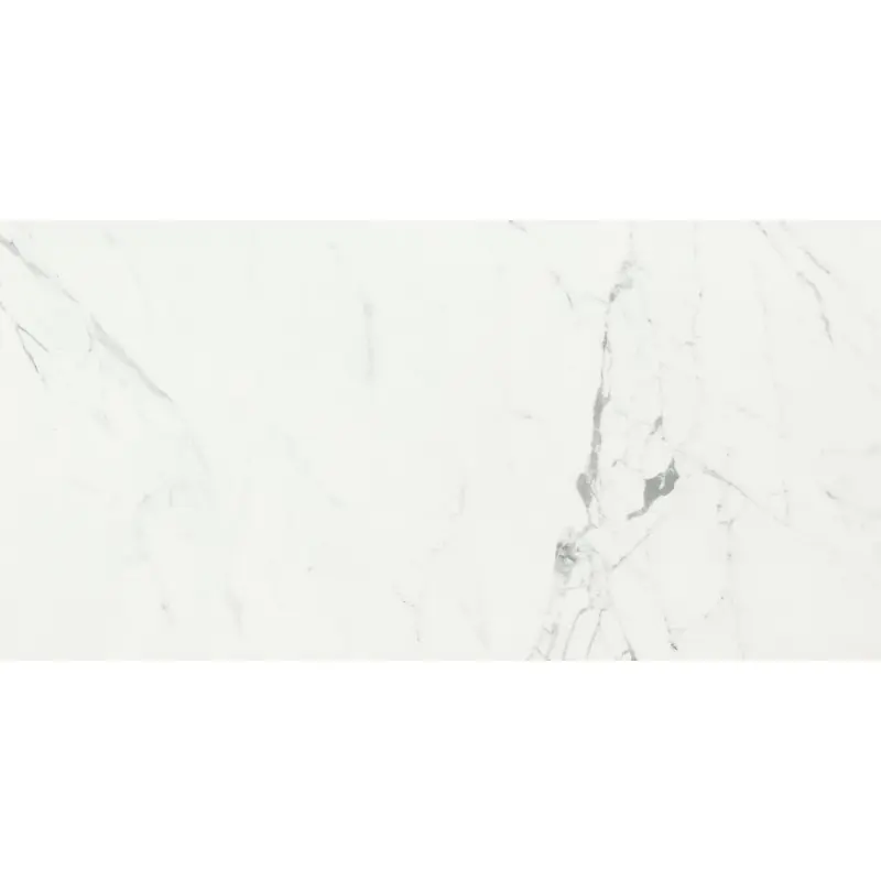 ANIMA STATUARIO VENATO LUCIDATO 60X120 RETTIFICATO Betrouwbaar