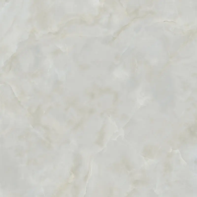 ANIMA EVER ROYAL ONYX LUCIDATO 120X120 RETTIFICATO Beperkte Voorraad