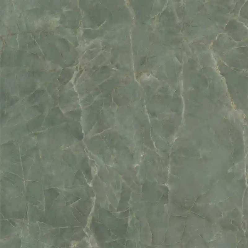 Nu Kopen ANIMA EVER SAGE GREEN LUCIDATO 120X120 RETTIFICATO