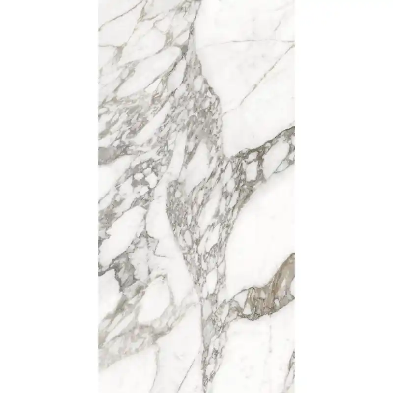 Gecertificeerd ANIMA EVER LUXURY ARABESQUE LUCIDATO 60X120 RETTIFICATO