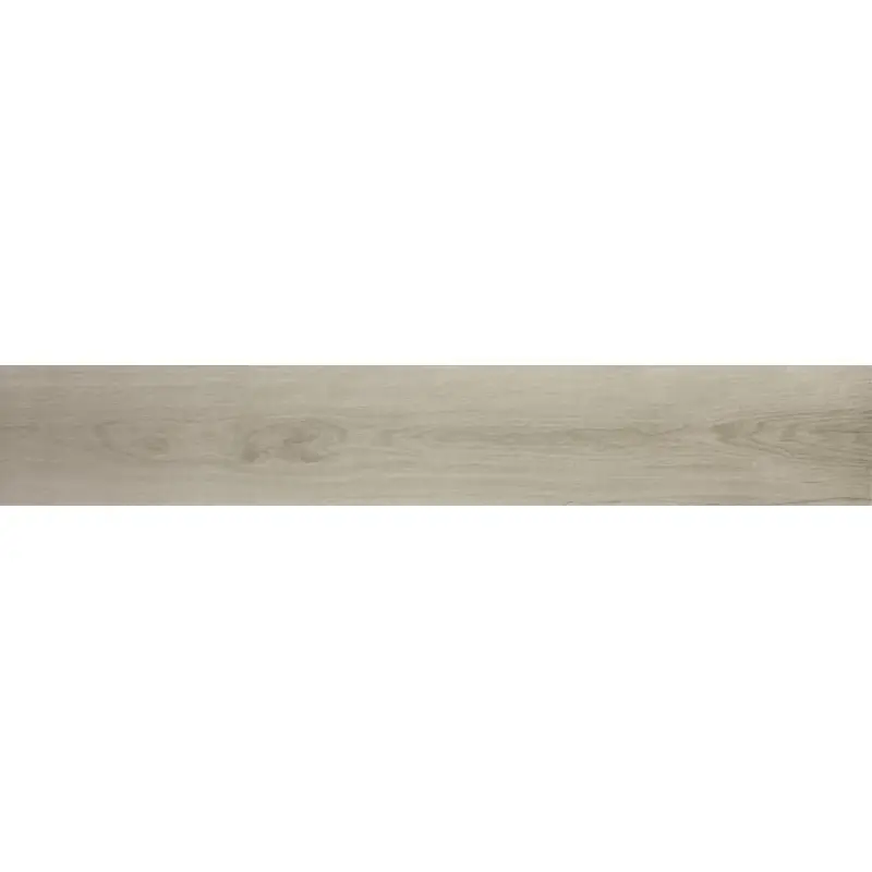 Alleen Vandaag FAPNEST 20X120 SILVER MATT RETTIFICATO SPESSORE 9mm