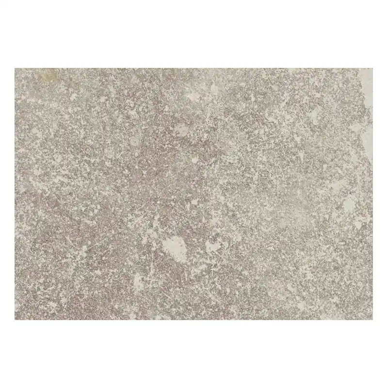 Fabrieksprijs Always_outfit Grigio 60x120 20mm