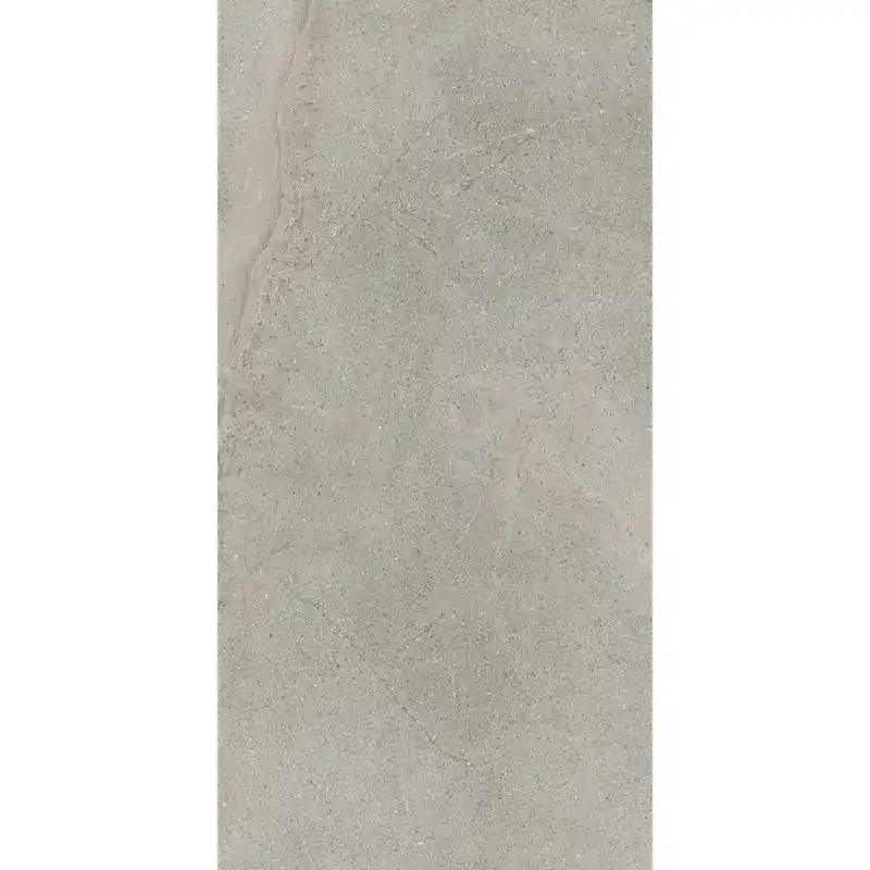 Goedkoop Life Grigio 60x120 9,5mm