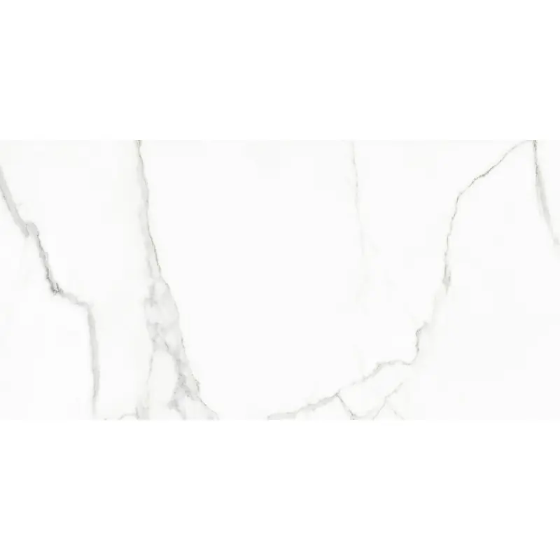 Nu Kopen RHAPSODY WHITE BEAUTY NATURALE 60X120 RETTIFICATO R9