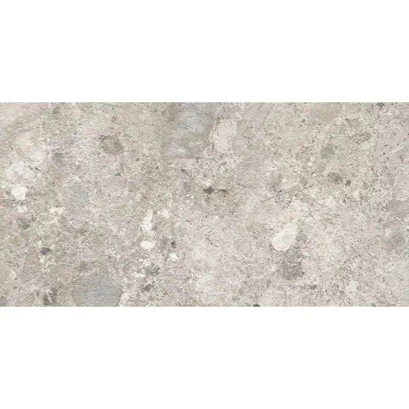 Betrouwbaar CARACTER_FLOOR MIX GRIS 30X60 RETTIFICATO
